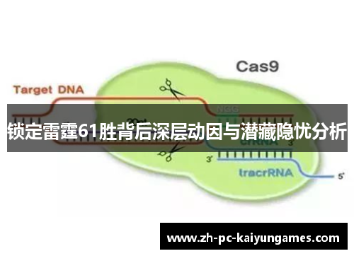 锁定雷霆61胜背后深层动因与潜藏隐忧分析